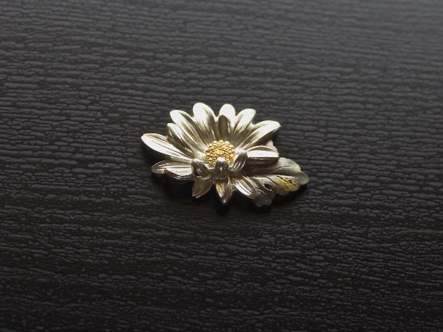 Chrysanthemum