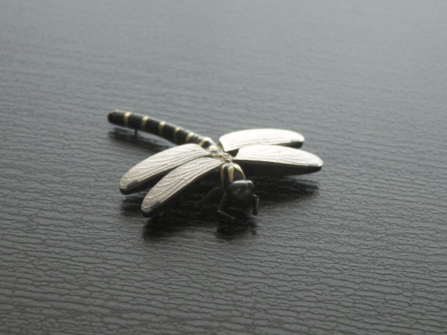 Dragon Fly