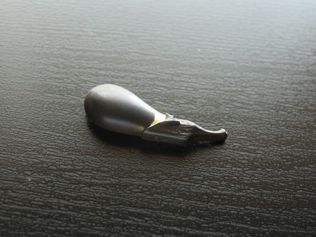 Japanese Eggplant