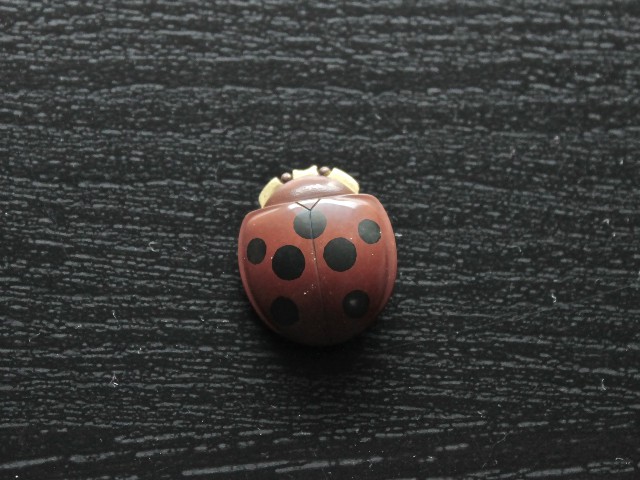 Ladybug