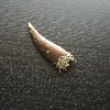 Bamboo shoot