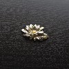Chrysanthemum