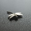 Dragon Fly