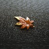 Maple