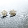 Pearl Flower Earrings '14